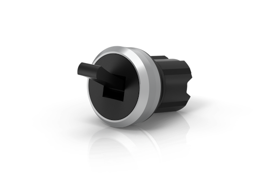 Function Toggle switch (BR45_KS_01_00819)